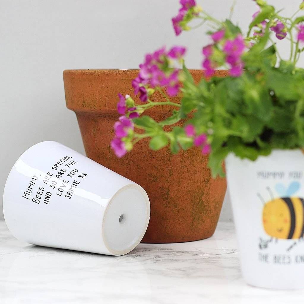 Mummy You Are The Bees Knees Plant Pot - view 2