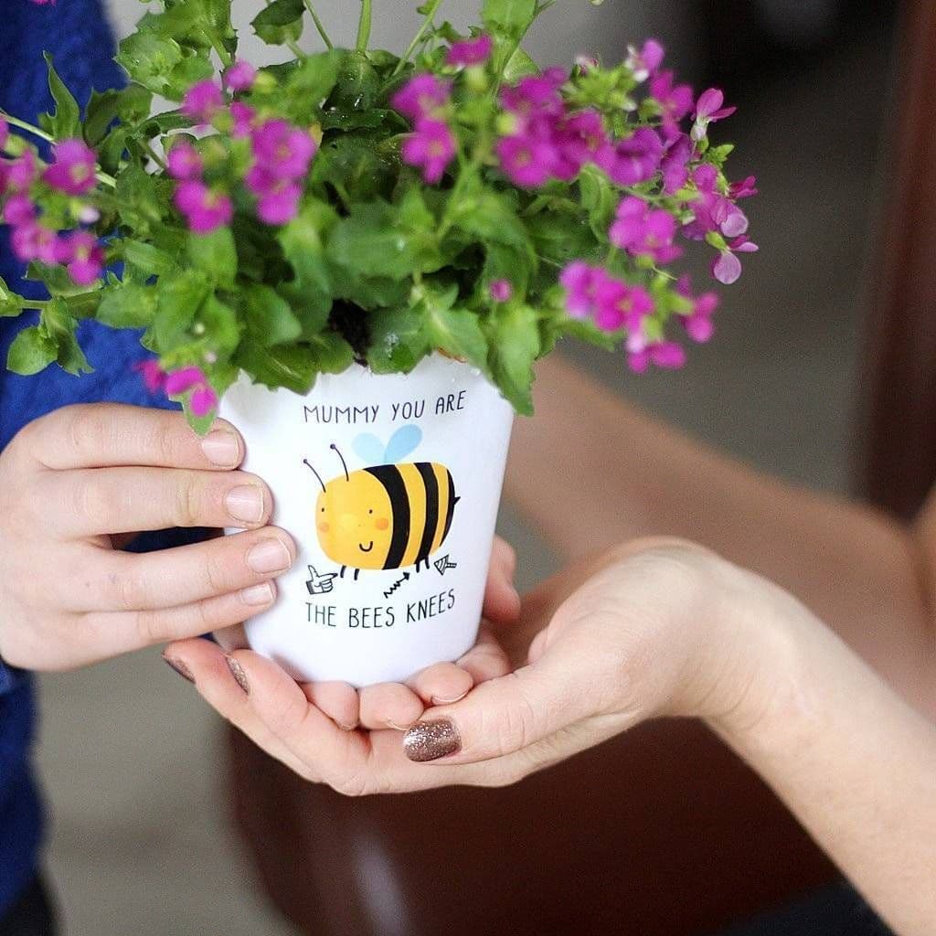 Mummy You Are The Bees Knees Plant Pot - view 3