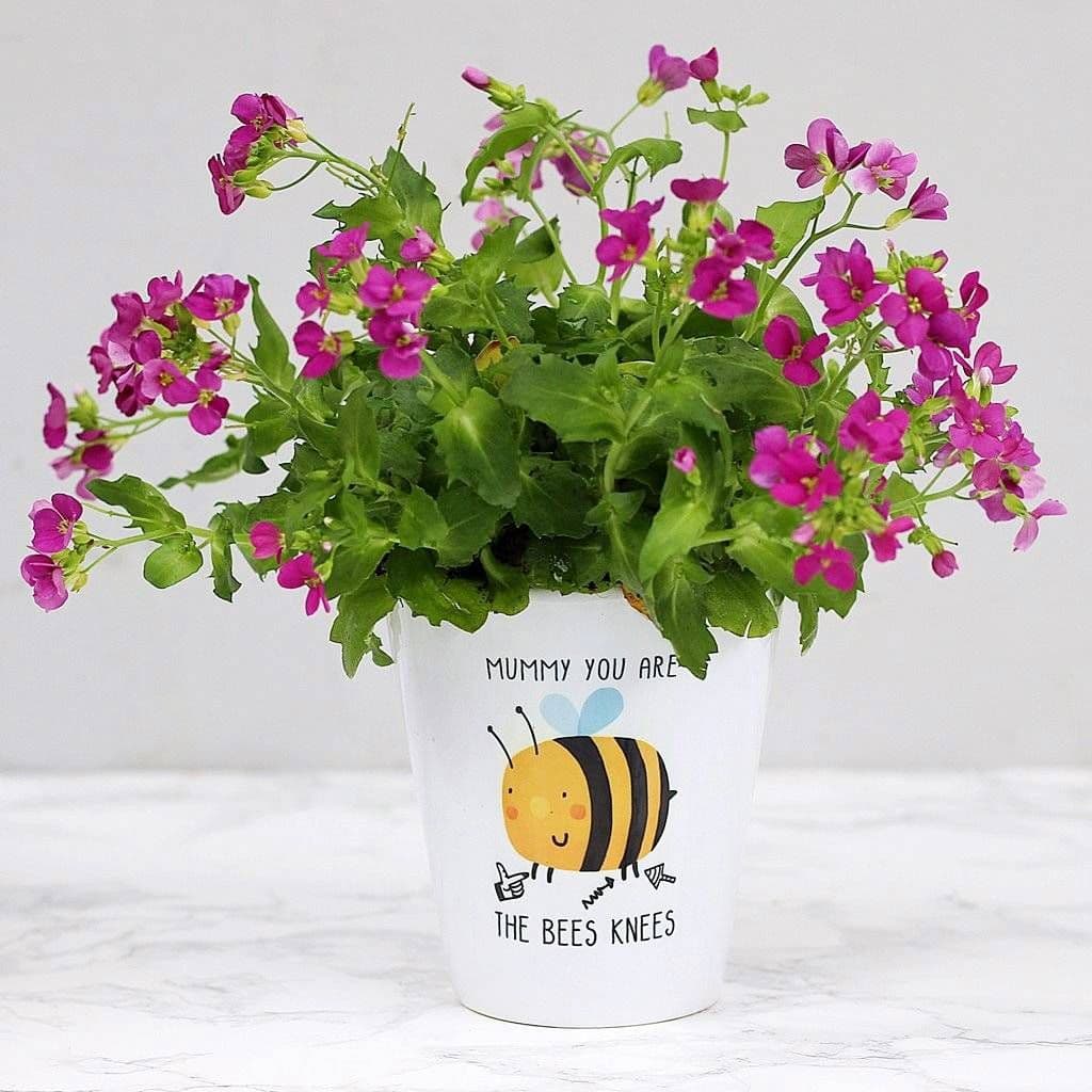 Mummy You Are The Bees Knees Plant Pot - view 4