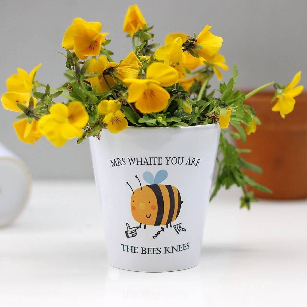 You Are The Bees Knees Teacher Plant Pot - view 2